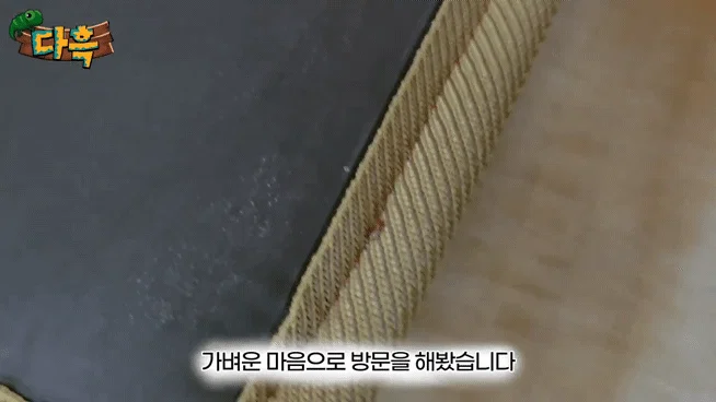 부산 찜질방 빈대 이슈 업로드한 유튜버 다흑... (9)