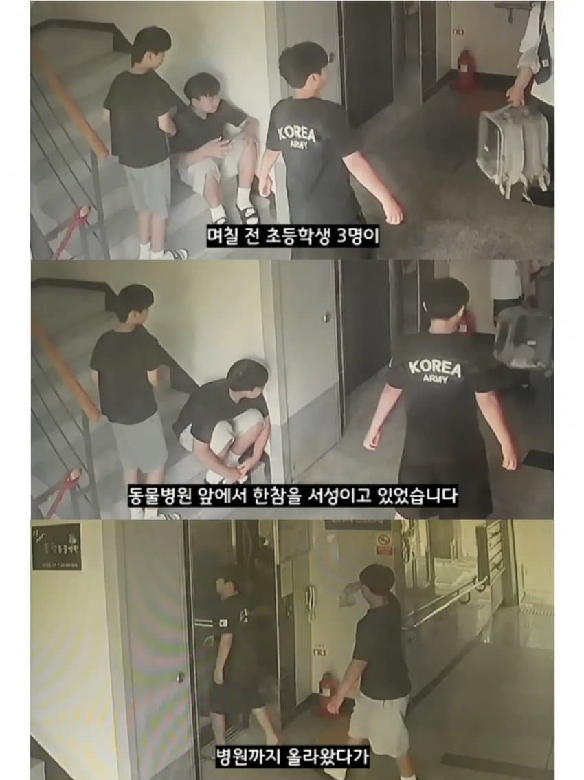 싱글벙글 2만원을 모아 동물병원 방문한 초등학생들