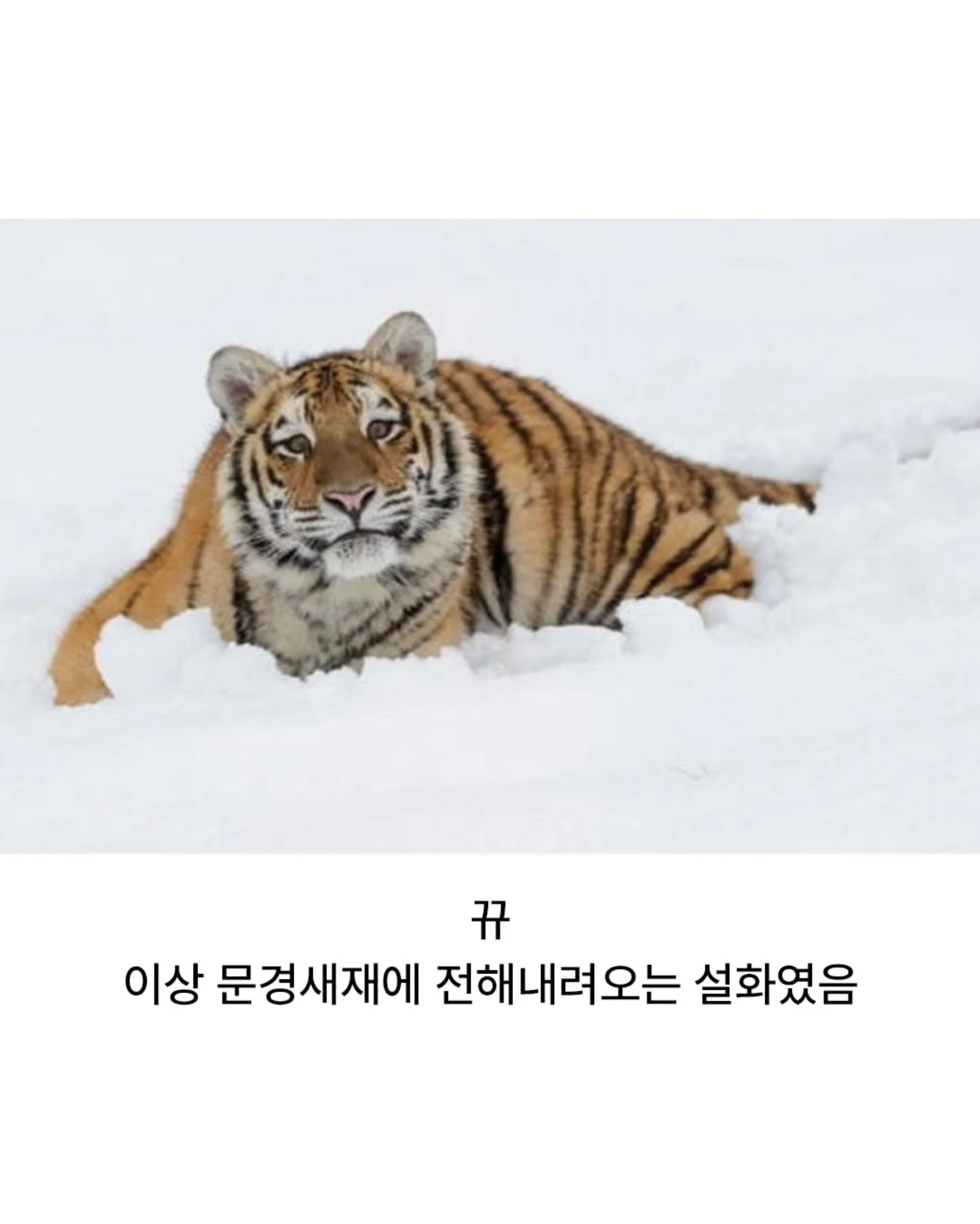 산신령에게 벌을 내린 태종 임금 (14)