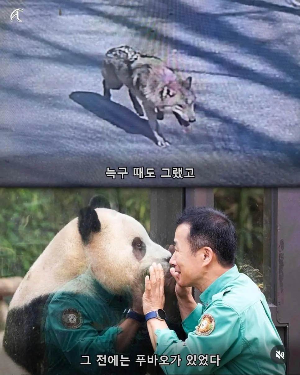 인방주의)부캉이 사태를 본 침착맨 (6)