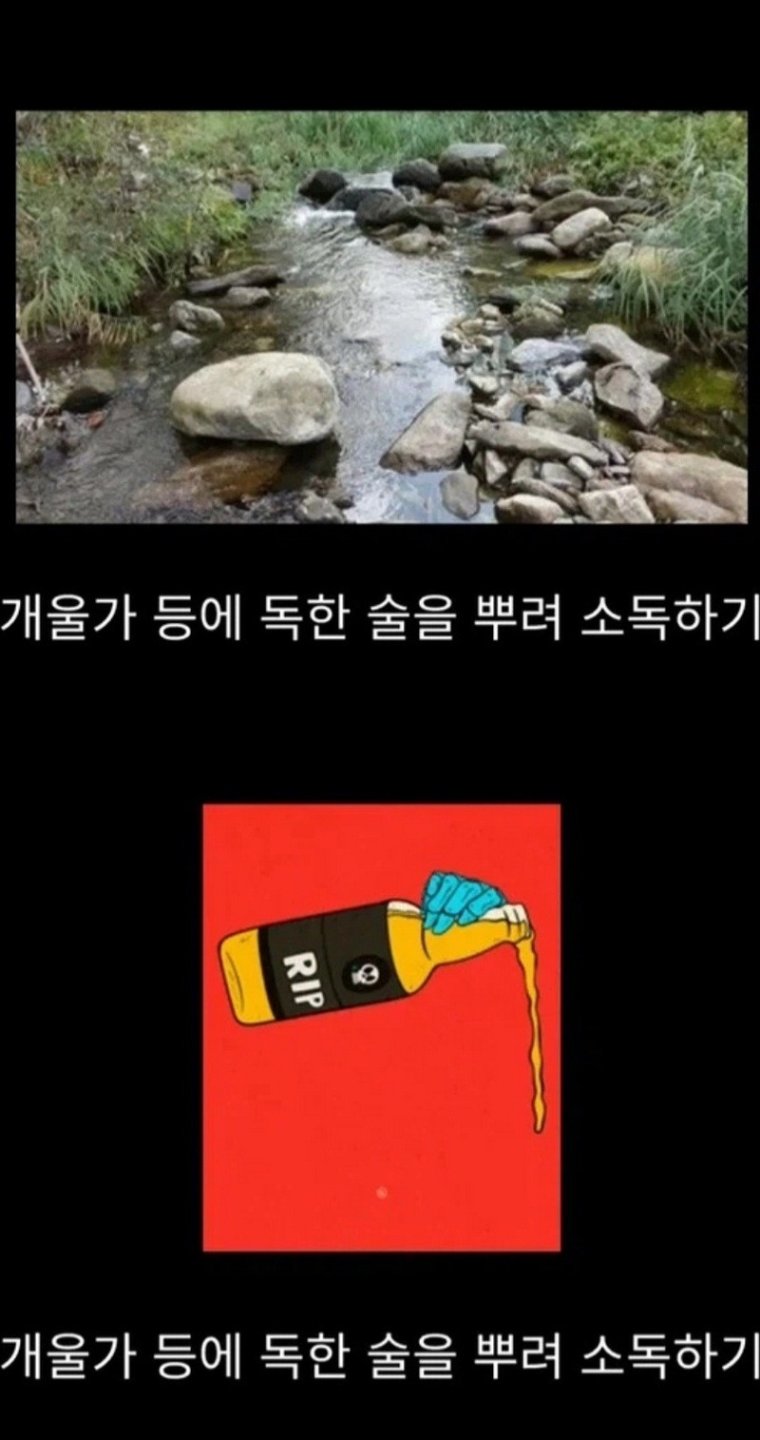 07.jpg