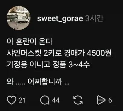 샤인머스켓 떡락