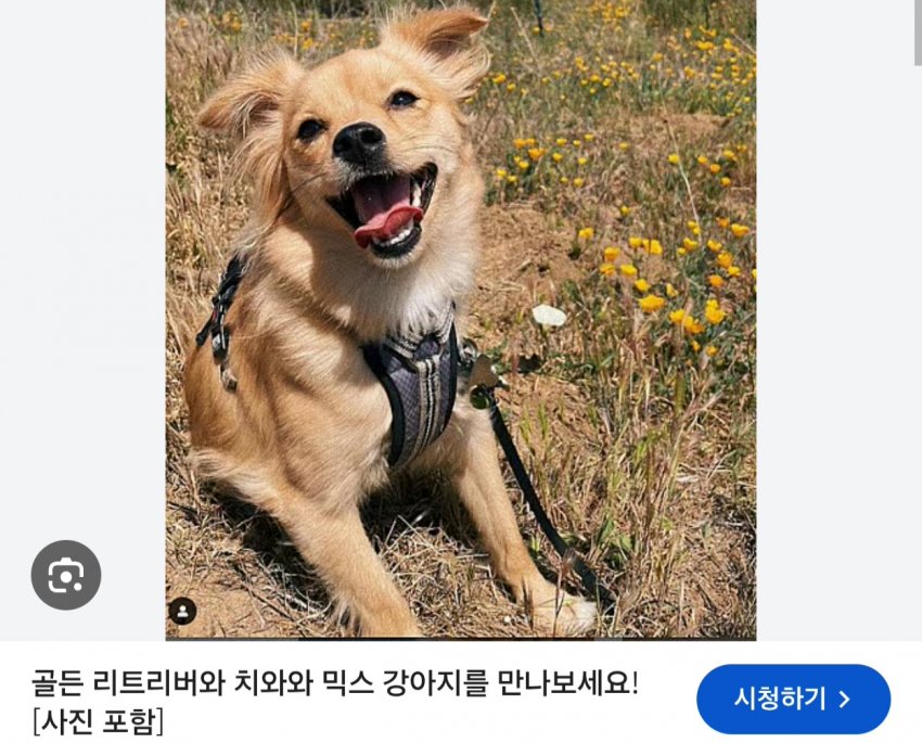 싱글벙글 래딧에 유행한다는 미친 짓 (4)