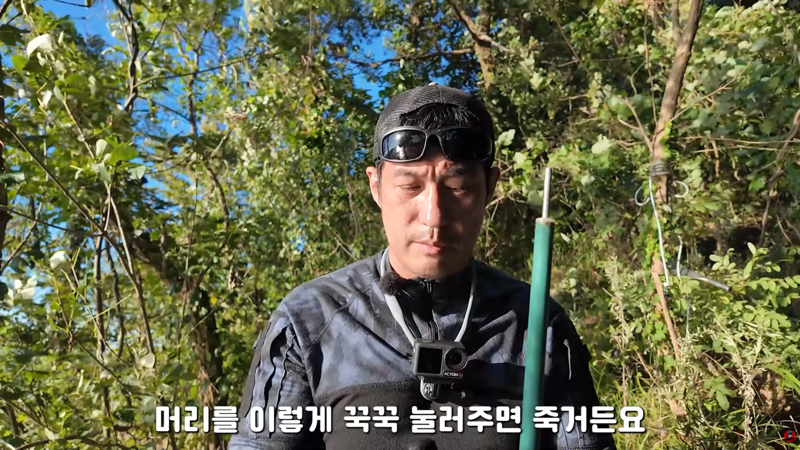 혐주의) 산왕거미를 생으로 먹어버린다는 국내 유튜버 (7)
