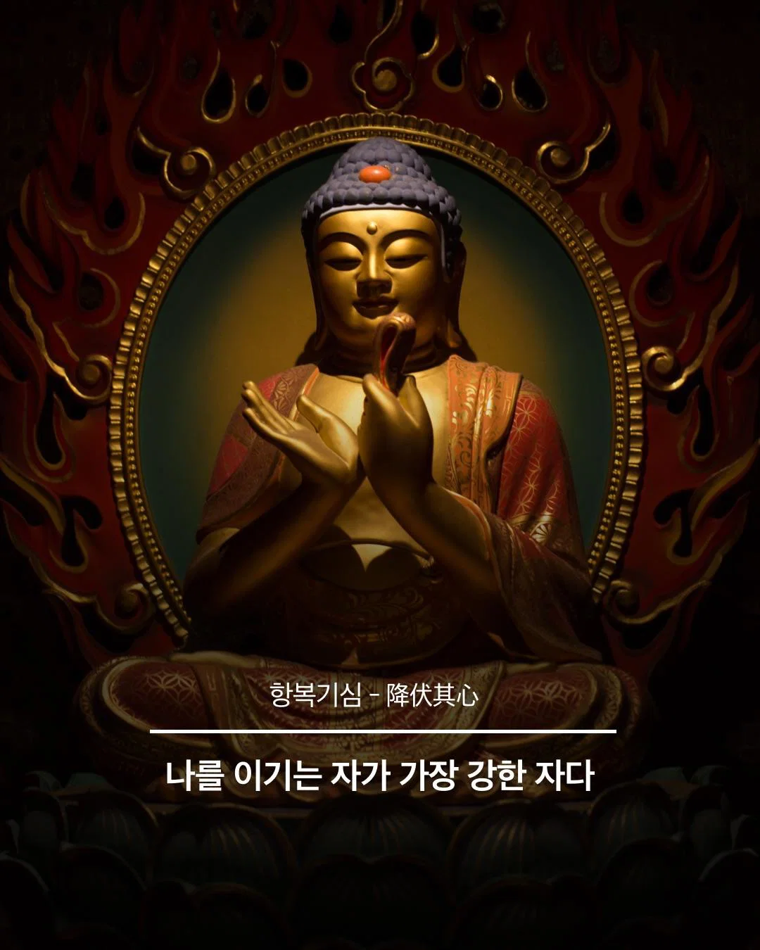 인생이 덜 피곤해지는 불교용어 (8)