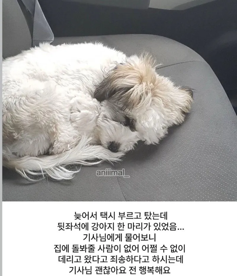 뜻밖의 택시 합승