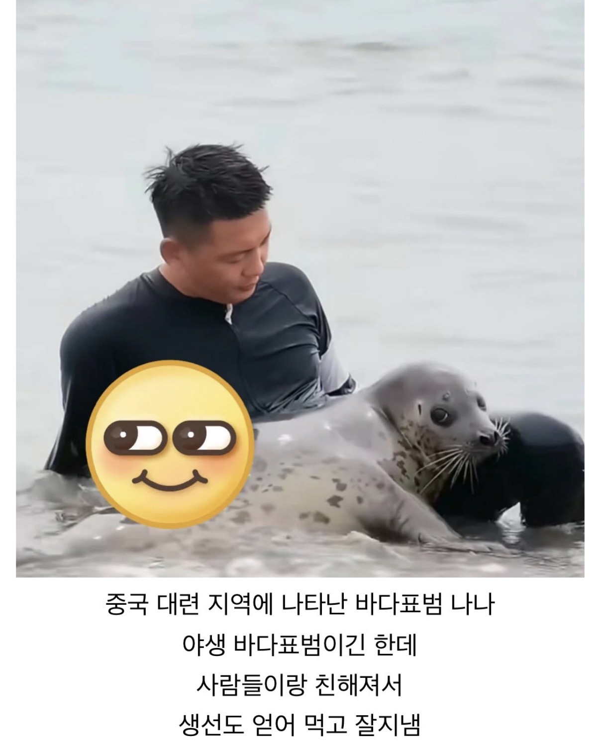 한국에는 부킹이,중국에는 나나 (3)
