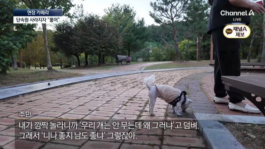 채널a) 단속원 퇴근하자...공원이 '개판' (23)