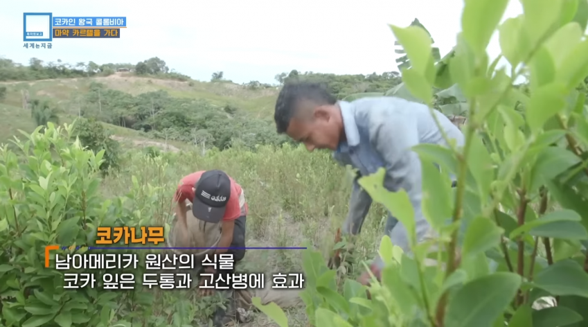 싱글벙글 친환경 유기농인데 떼돈 버는 사업..