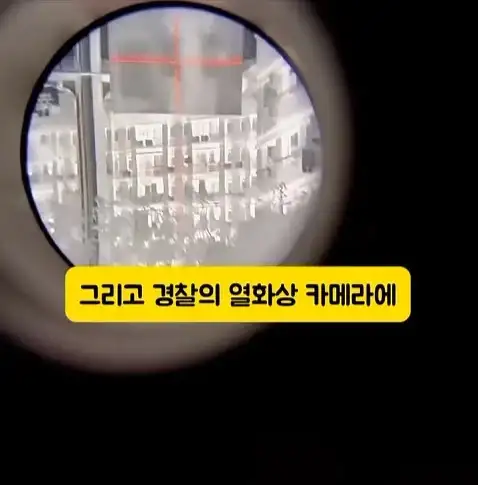 도둑들이 포르셰 눈알만 빼가는 이유