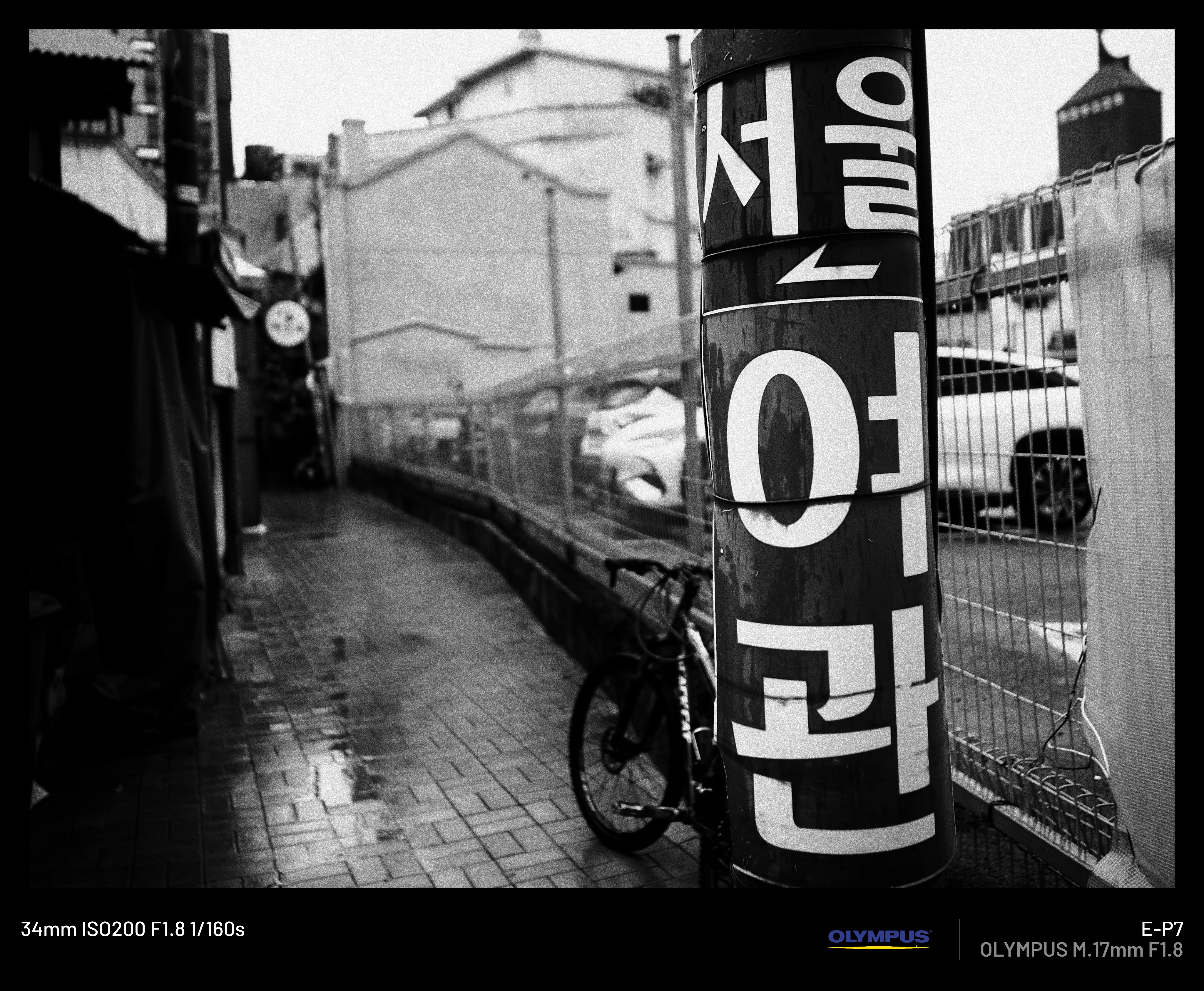 처음 마포 바디 사보고 올리는 디첩 사진들 (3)