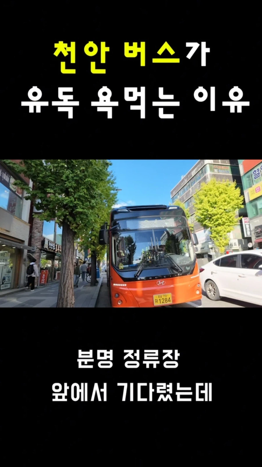 악명 높은 천안 버스 근황
