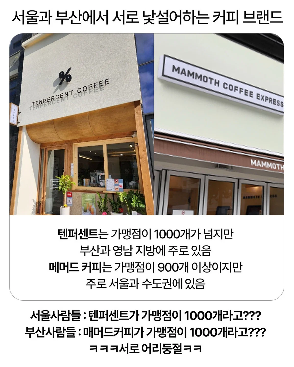 서울과 부산에서 서로 낯설어하는 커피 브랜드