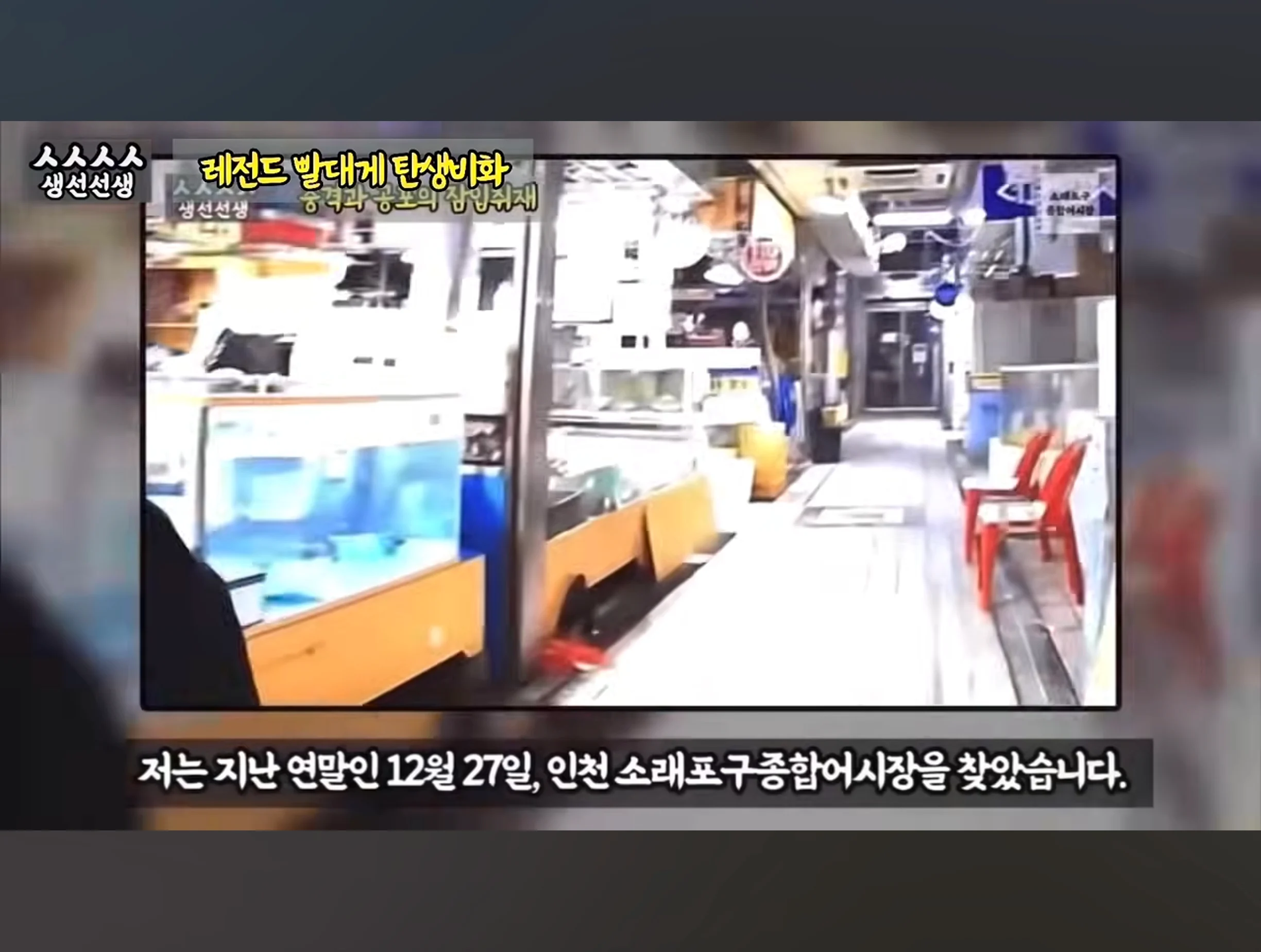스압주의) 대게 구입 잘못했다가 미쳐버린 유튜버