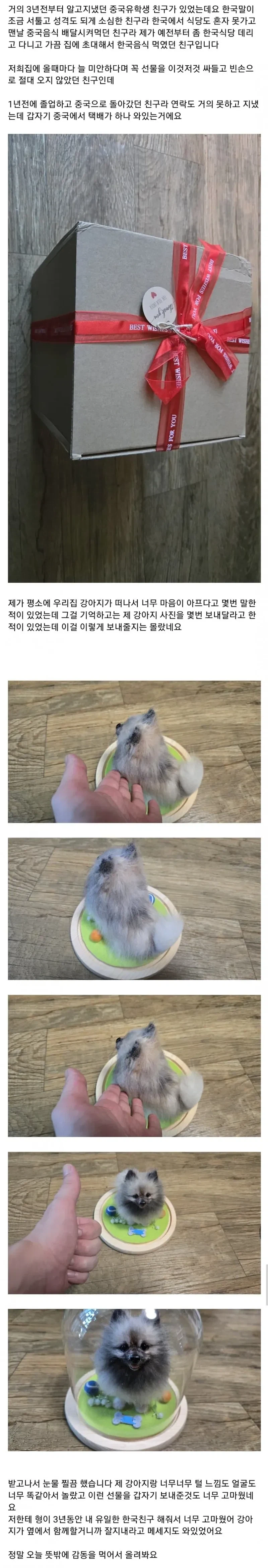 죽은 강아지 사진을 보내달라한 중국인 친구_1.webp