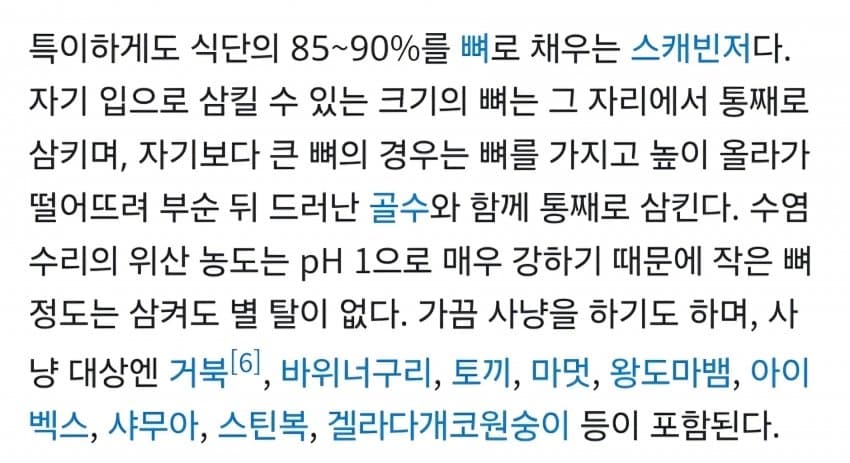 의외로 뼈를 주식으로 하는 조류 (2)