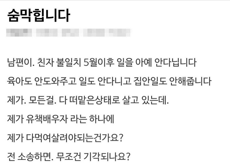 남편이 일도 안하고 집안일도 안해서 불만인 사람