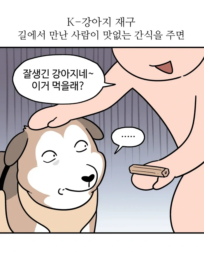 Insta] K-예절 강아지.toon