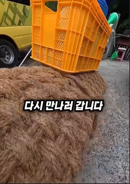 평생 목욕 한번 안 해본 차고지 지킴이 2살 한성이의 생애 첫 목욕대작전 (6)