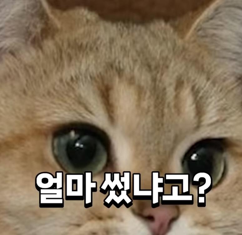 박진영의 영수증 역풍의 진실 (41)
