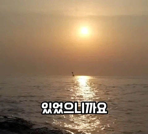 BTS의 국위선양, 이런 게 국위선양이지. (30)