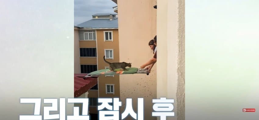 의문의 도구로, 지붕 위 고양이 구한 친구들 (15)