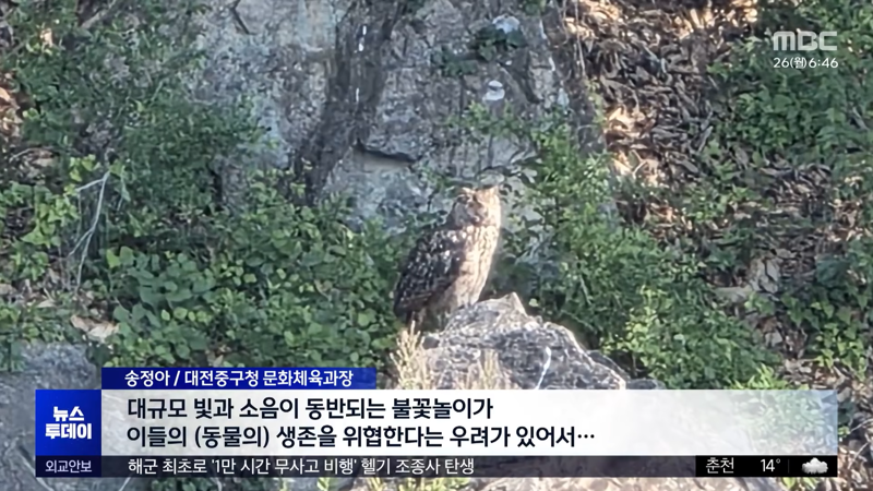 계속되는 안전사고, 환경오염에 취소되는 불꽃놀이 (6)