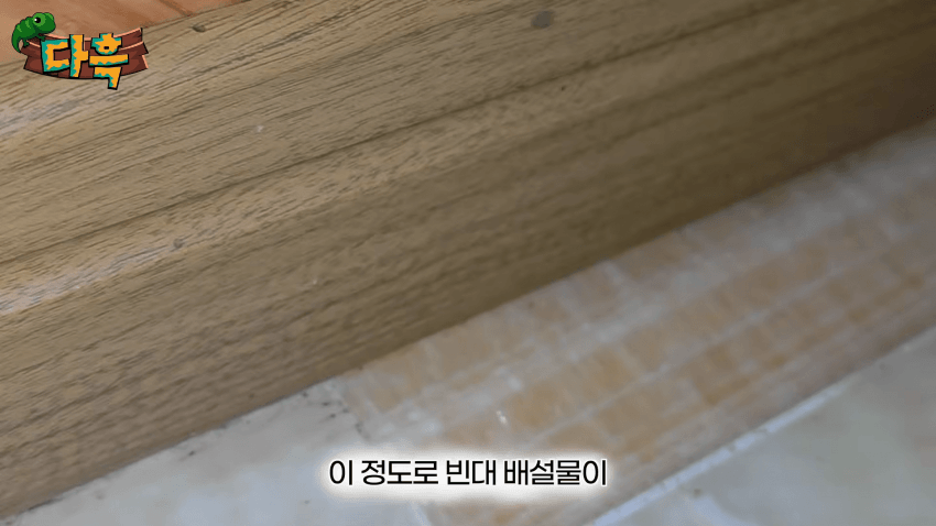 오싹오싹 부산 찜질방에 출몰해서 난리난 빈대(베드버그)상황 (10)