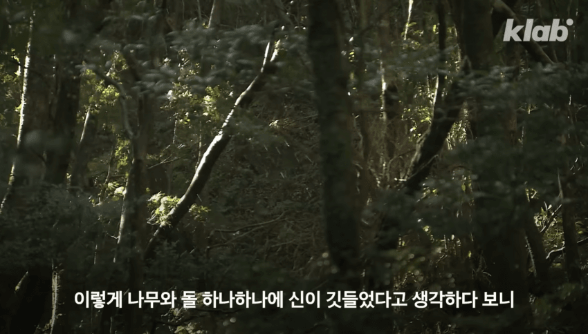 깜짝 .. 일본숲이 유독 무서운 이유 ㄹㅇ . (40)