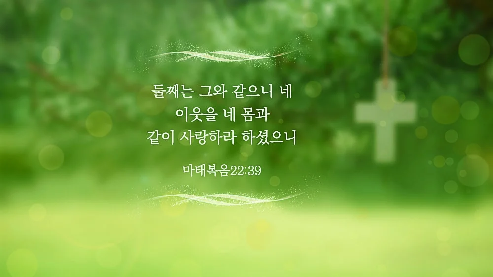 박위 사건 보면 참 웃긴 게 (2)