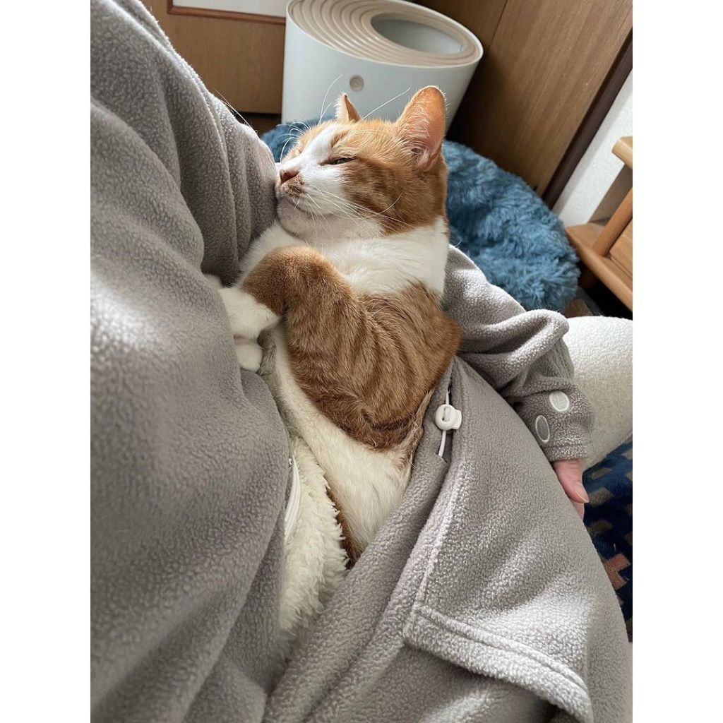 요즘 젊은이 나락가는 패턴 중 하나