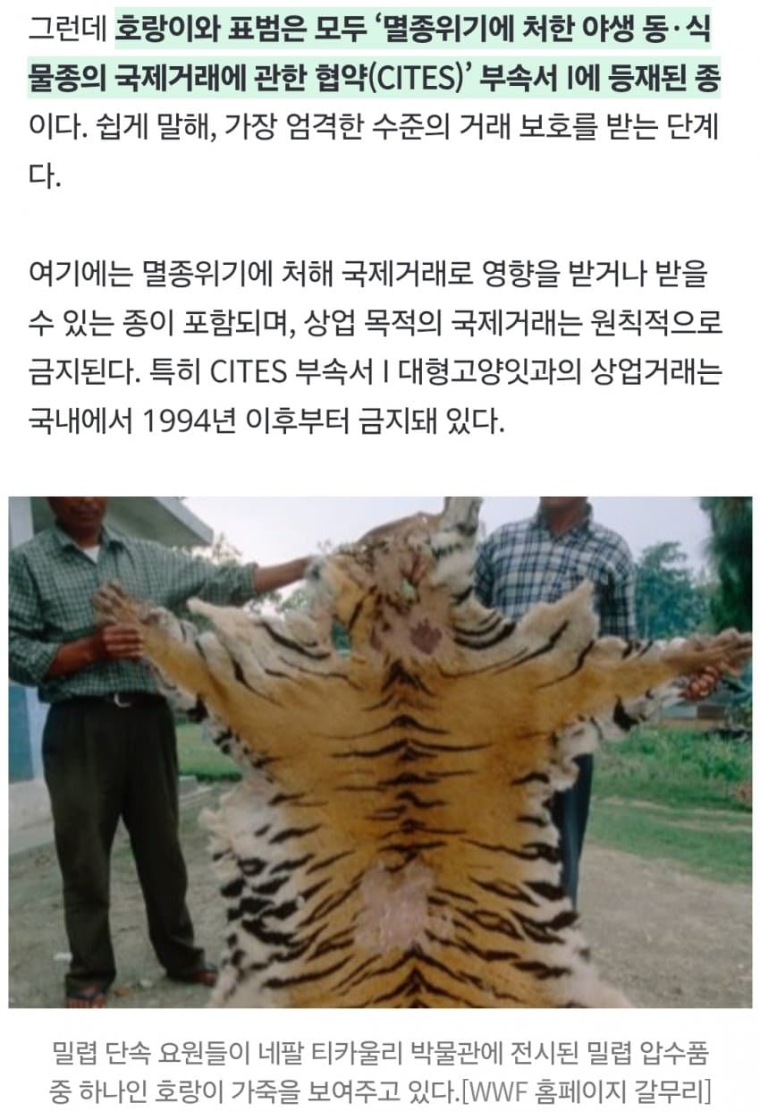 “여기가 한국 맞아?” 진짜 호랑이 ‘700만원’에 대놓고 거래 (7)