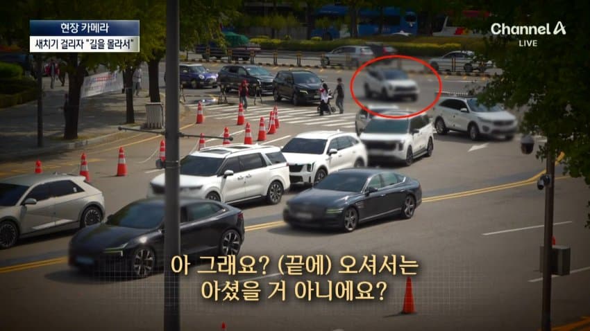 채널a) 차 머리부터 '쑥'..야구장 앞 얌체들 (10)