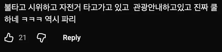 🇫🇷  파리가 불타고 있는데 괜찮은 척해야 하는 관광가이드 (2)