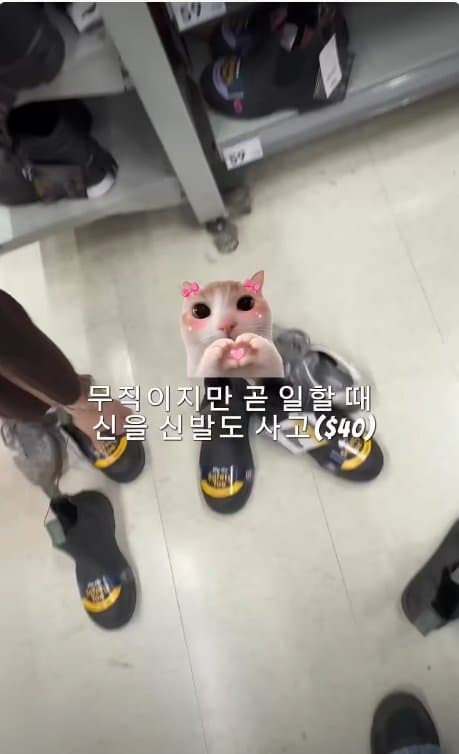 아일릿 원희 닮은07년생 한국여자 거친 호주에서  살아남기. ㄷㄷ (13)