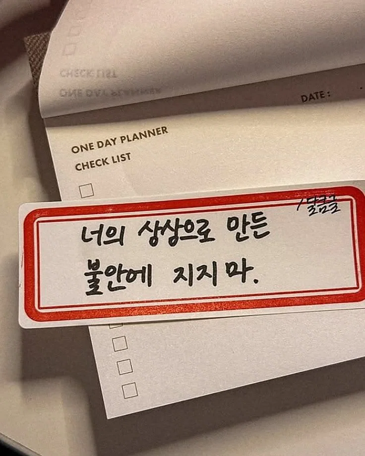 미용실 보냈는데 푸들이 실종되고 아기양으로 돌아왔습니다 (52)