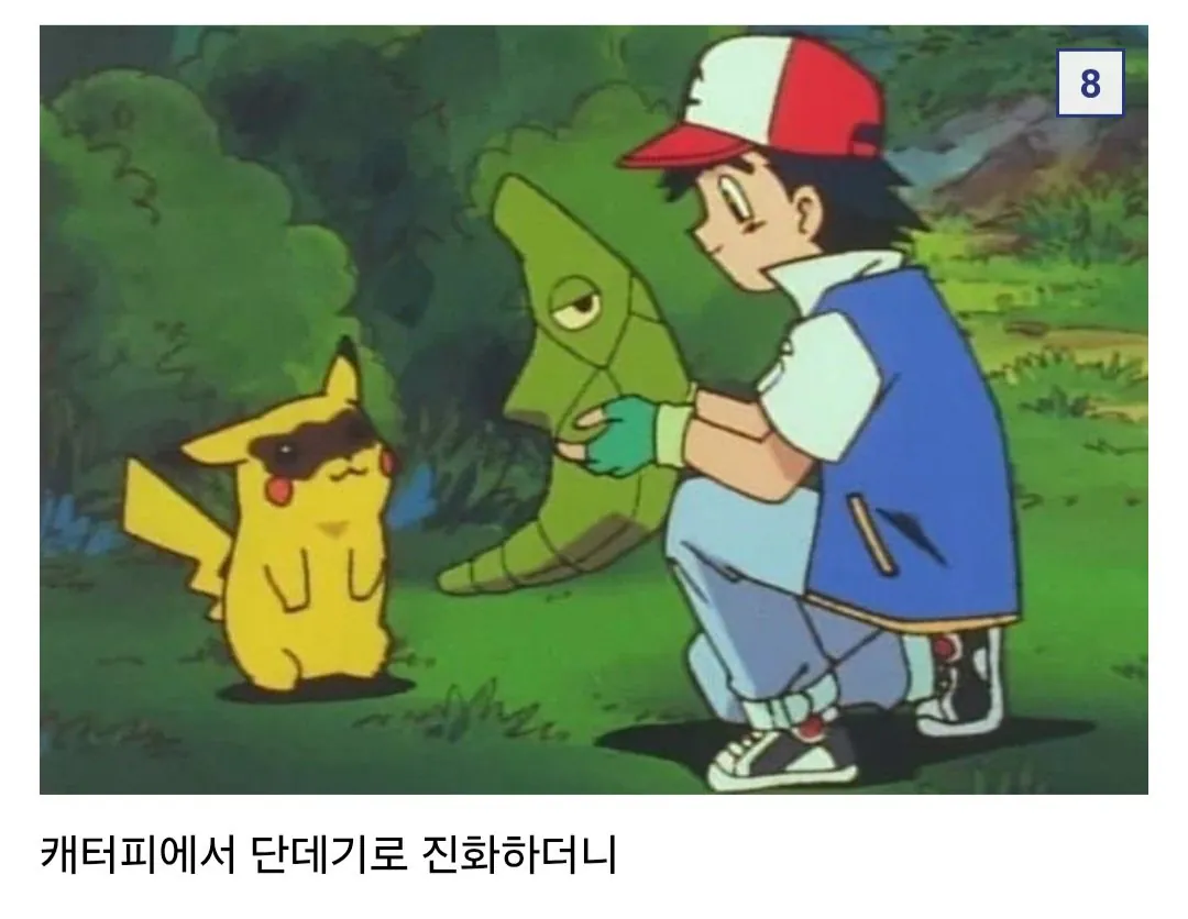 애벌레 잡아서 나비까지 키운 사람 (6)