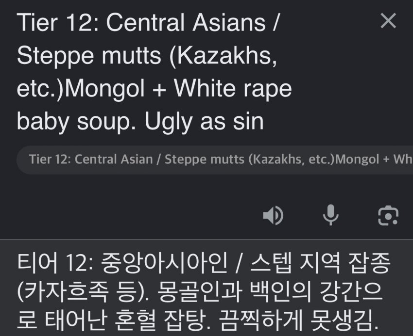 서양 커뮤에서 만든 인종 순위 20단계 (21)
