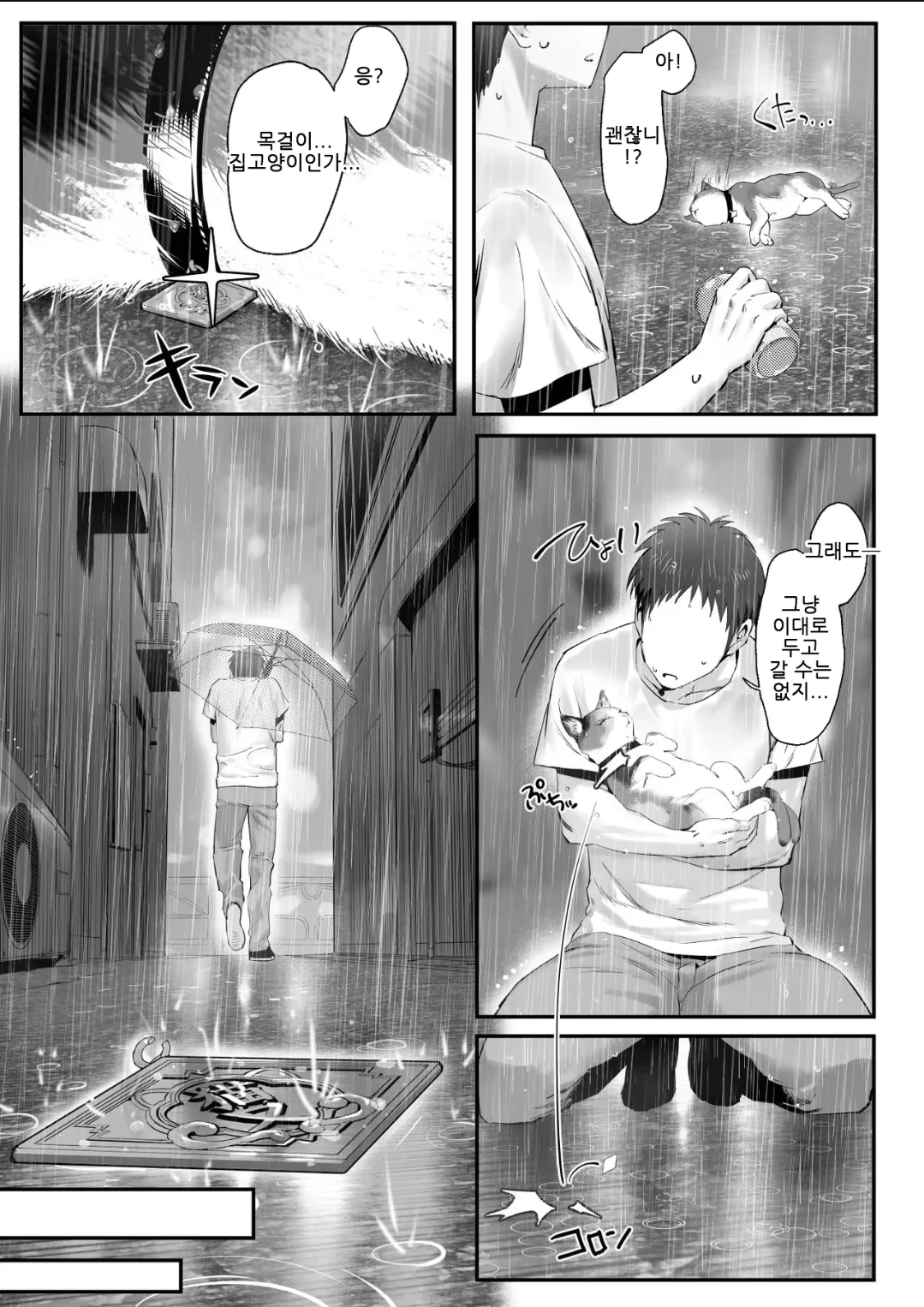 꼬리가 2개인 고양이를 구해주는 만화.manhwa (4)