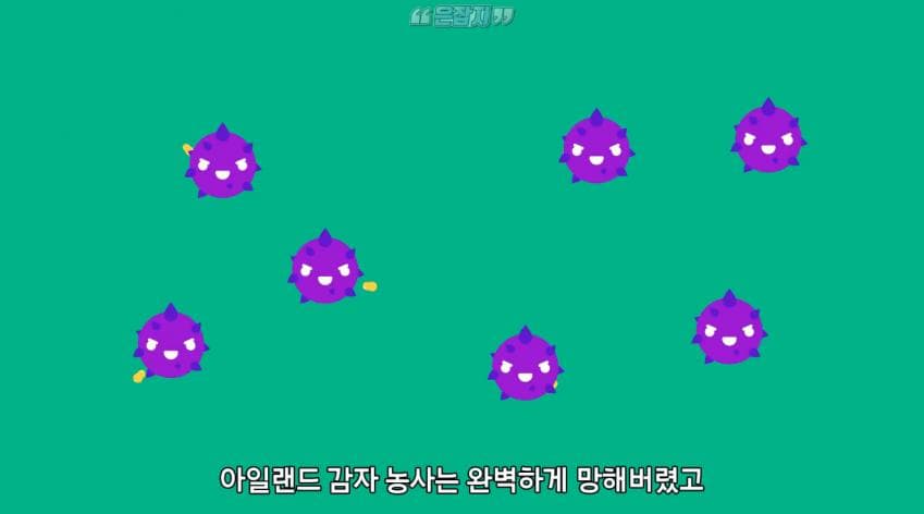 인구가 절반으로 줄어든 사연 (29)