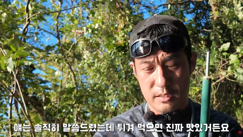 혐주의) 산왕거미를 생으로 먹어버린다는 국내 유튜버 (5)