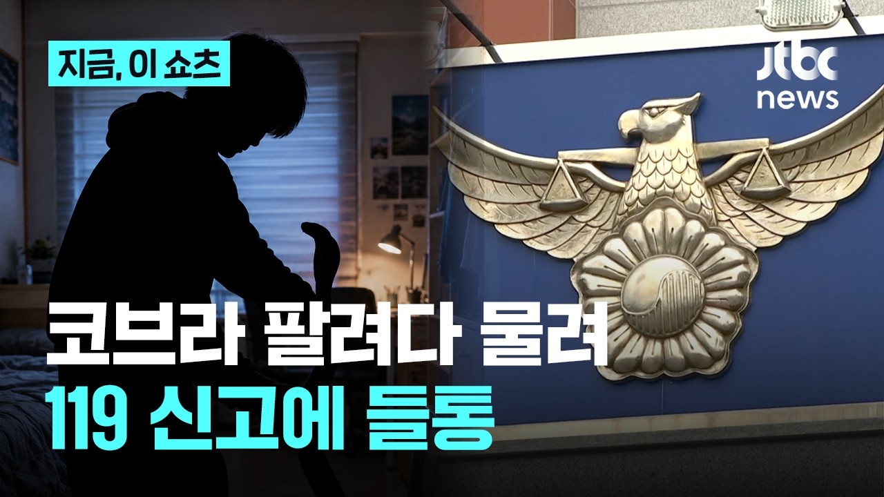 코브라 팔려다 물린 중학생, 119 신고에 들통 (12)