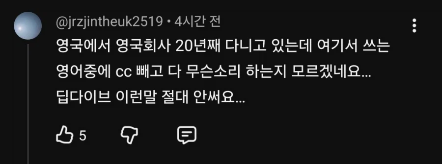 판교 사투리에 대한 교포들의 지적 댓 ㅋㅋ (5)