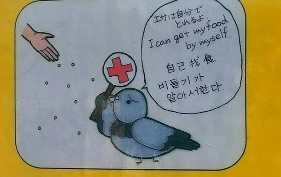 사실 캣맘짓을 금지할 이유야 쉽지.
