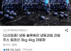 칠레산 냉동 블루베리 1kg 3팩 (총3kg)