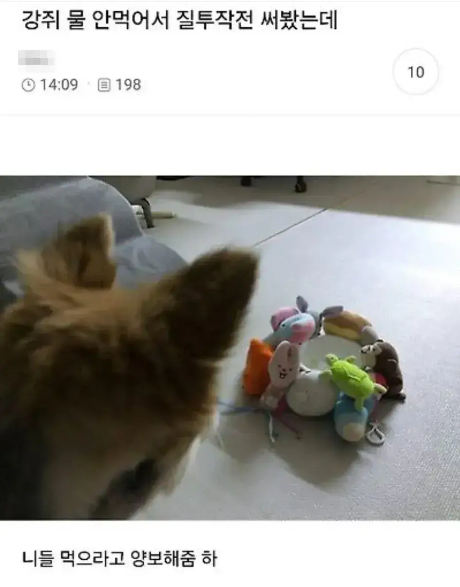 강쥐 물 안먹어서 질투작전 써봤는데