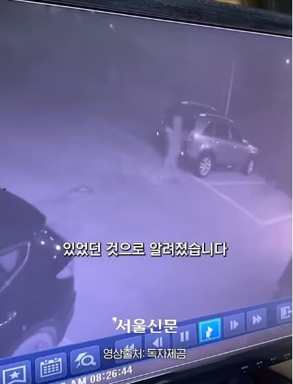 제주실종자가 발견 된 야자수 숲 가는 길을 밤에 직접 가본 기자.. (31)