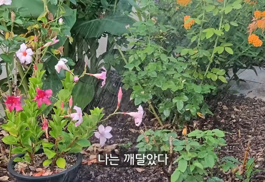 휴식을 위해 '귀촌'을 한 사람들이 깨닫게 되는 현실 (15)
