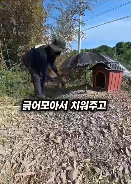 조회수1500만 견주 허락 없이 1개월 아기 강아지 그늘막 설치 사연, (20)