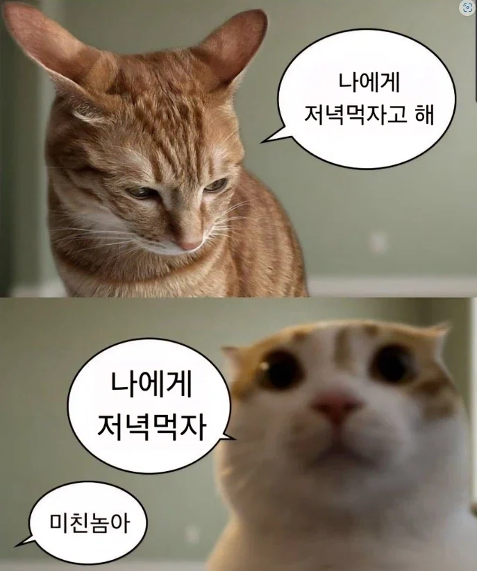 나에게 저녁 먹자고 해요